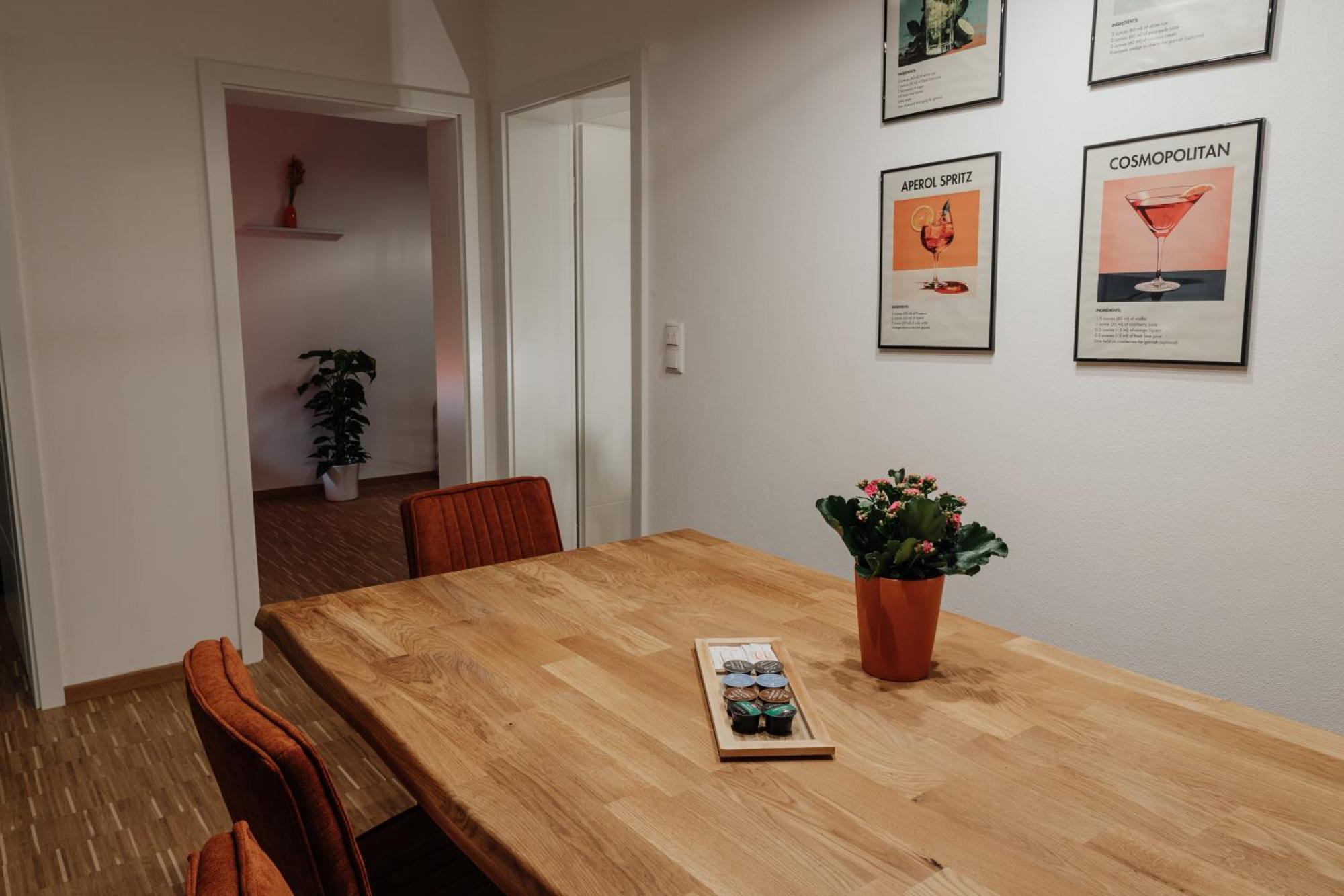 Apartment Passaus Motto Appartements! Solo - Paerchen - Familien - Gruppen